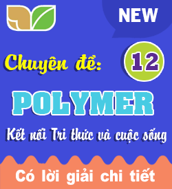 Polymer (KNTT)